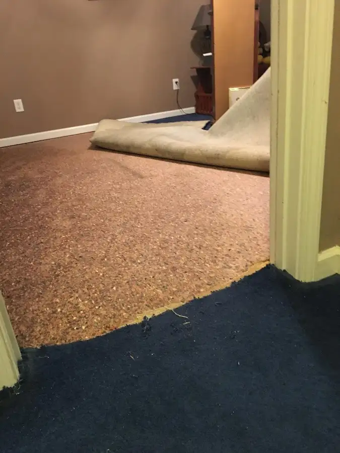Carpet pad removal revealing water damage during Drying & Dehumidification in Jarrell